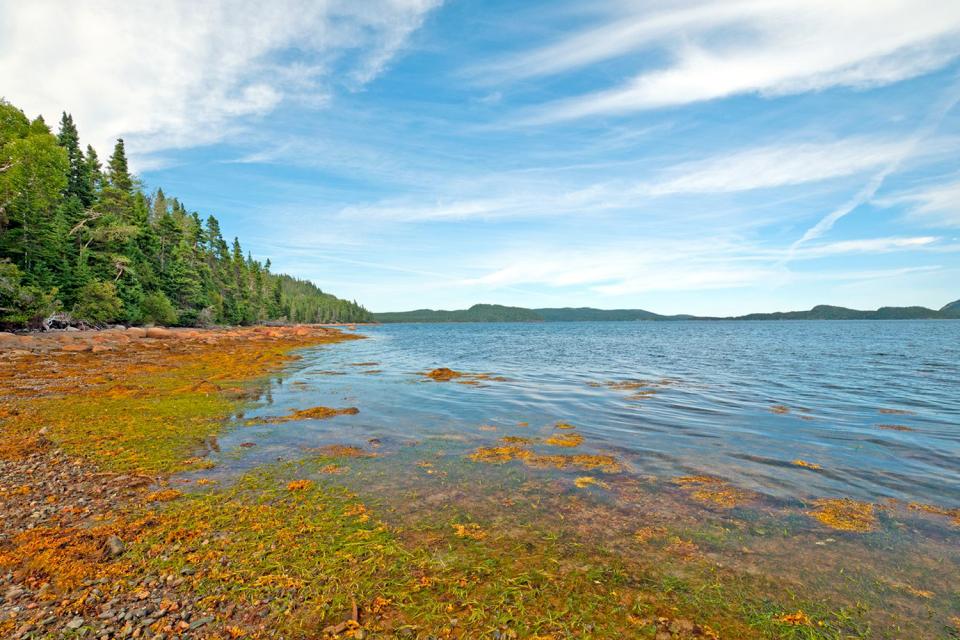 https://mdw-travel-data-us-east-1.s3.amazonaws.com/img/country/Canada/Terra-Nova-National-Park/img_03.jpg