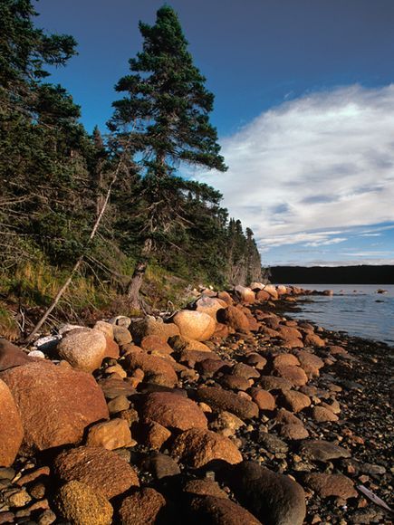 https://mdw-travel-data-us-east-1.s3.amazonaws.com/img/country/Canada/Terra-Nova-National-Park/img_04.jpg