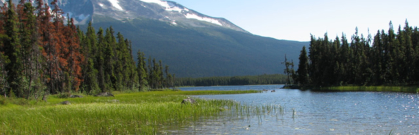 https://mdw-travel-data-us-east-1.s3.amazonaws.com/img/country/Canada/Tweedsmuir-South-Provincial-Park/img_01.jpg
