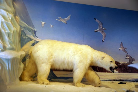 https://mdw-travel-data-us-east-1.s3.amazonaws.com/img/country/Canada/Unikkaarvik-Visitor-Centre/img_02.jpg
