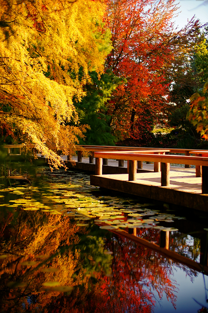 https://mdw-travel-data-us-east-1.s3.amazonaws.com/img/country/Canada/VanDusen-Botanical-Garden/img_02.jpg