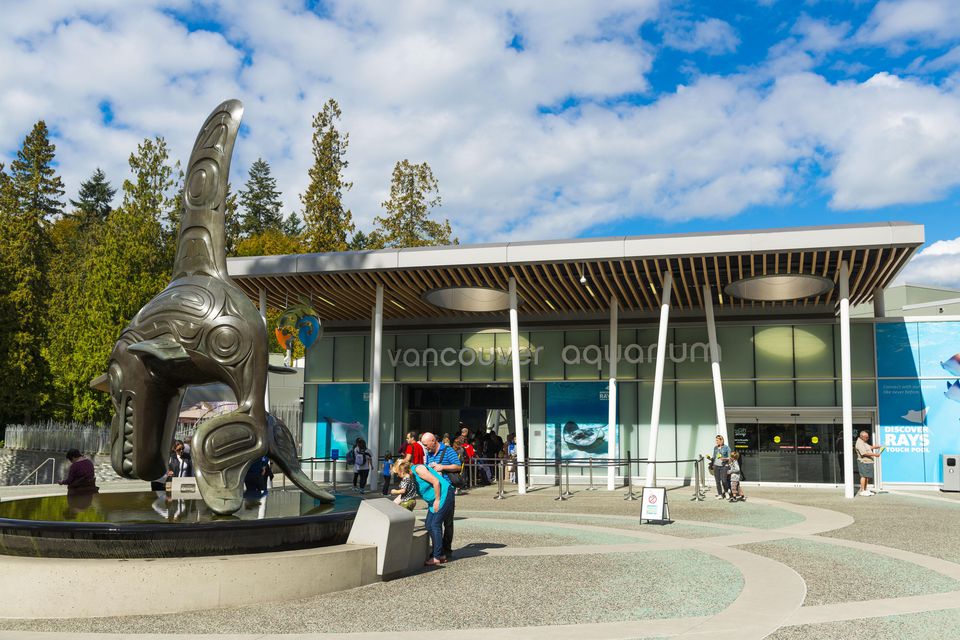 https://mdw-travel-data-us-east-1.s3.amazonaws.com/img/country/Canada/Vancouver-Aquarium/img_01.jpg
