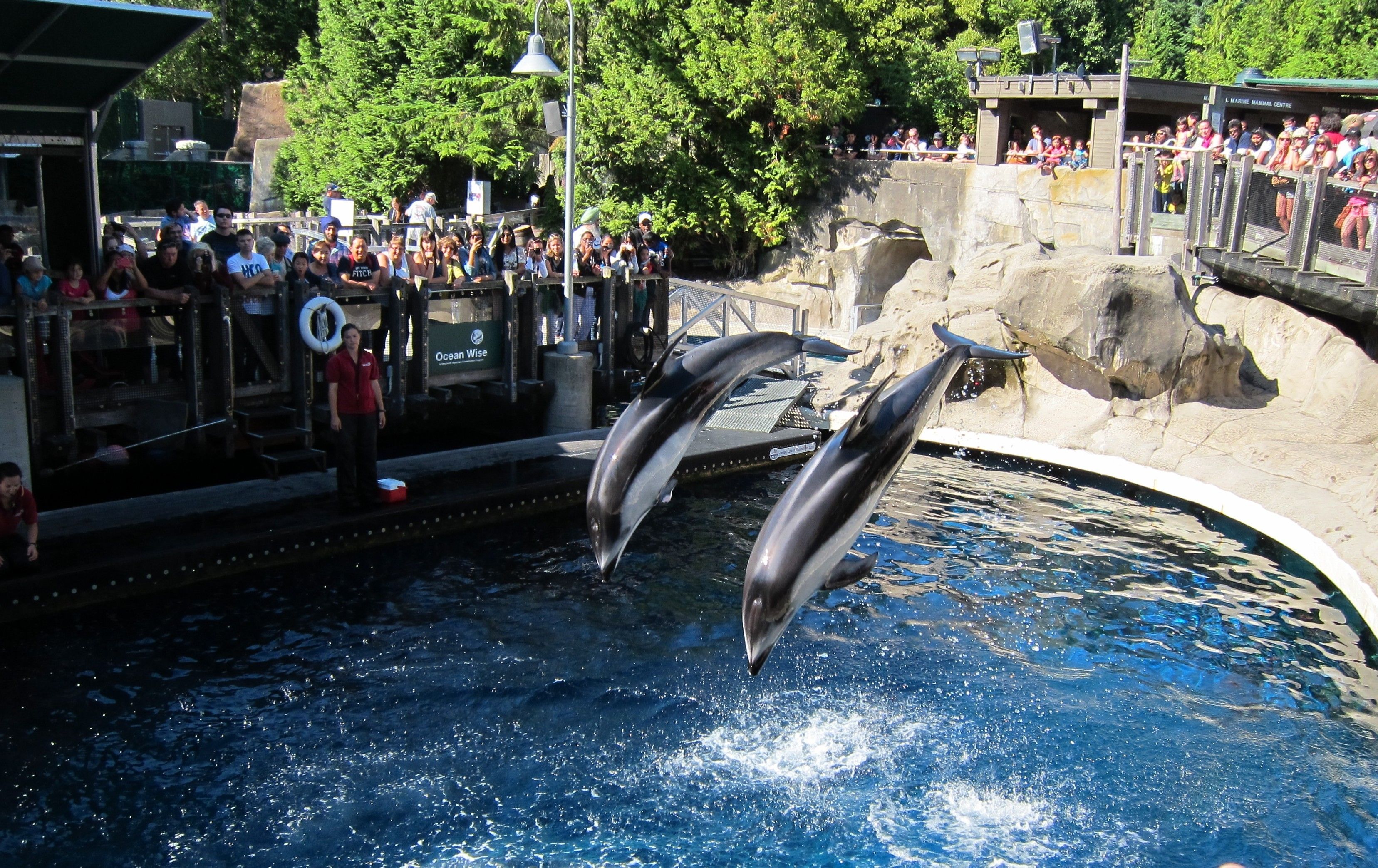 https://mdw-travel-data-us-east-1.s3.amazonaws.com/img/country/Canada/Vancouver-Aquarium/img_02.jpg