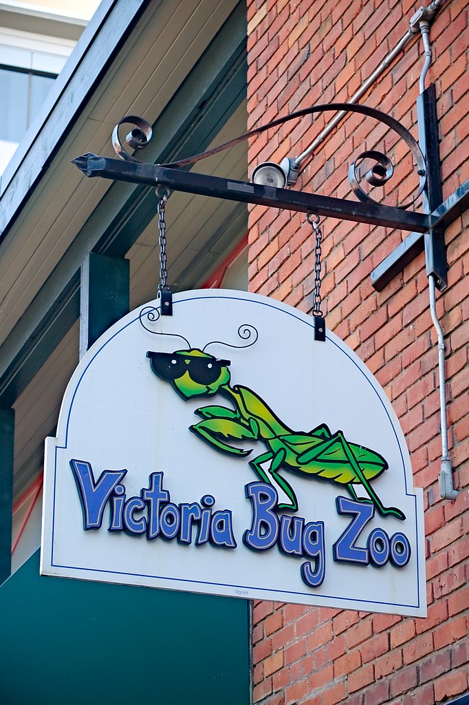 https://mdw-travel-data-us-east-1.s3.amazonaws.com/img/country/Canada/Victoria-Bug-Zoo/img_01.jpg