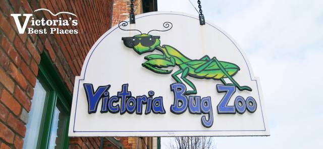 https://mdw-travel-data-us-east-1.s3.amazonaws.com/img/country/Canada/Victoria-Bug-Zoo/img_03.jpg
