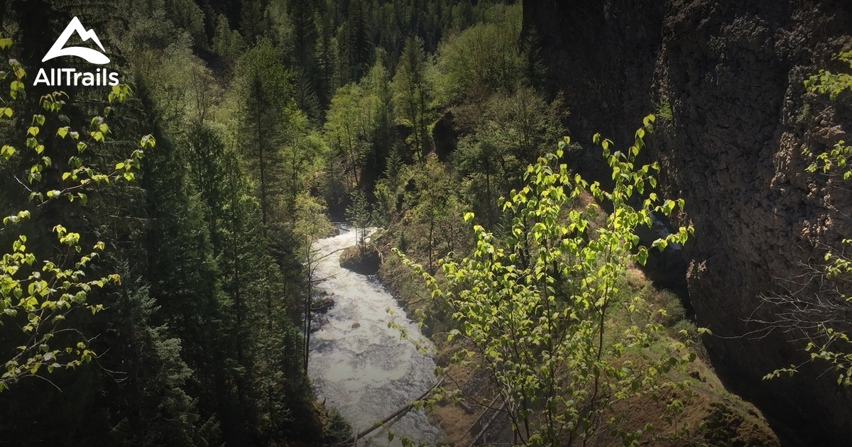 https://mdw-travel-data-us-east-1.s3.amazonaws.com/img/country/Canada/Wells-Gray-Provincial-Park/img_02.jpg