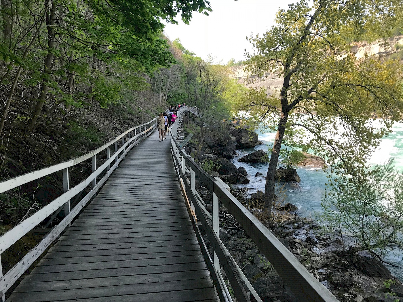 https://mdw-travel-data-us-east-1.s3.amazonaws.com/img/country/Canada/White-Water-Walk/img_03.jpg