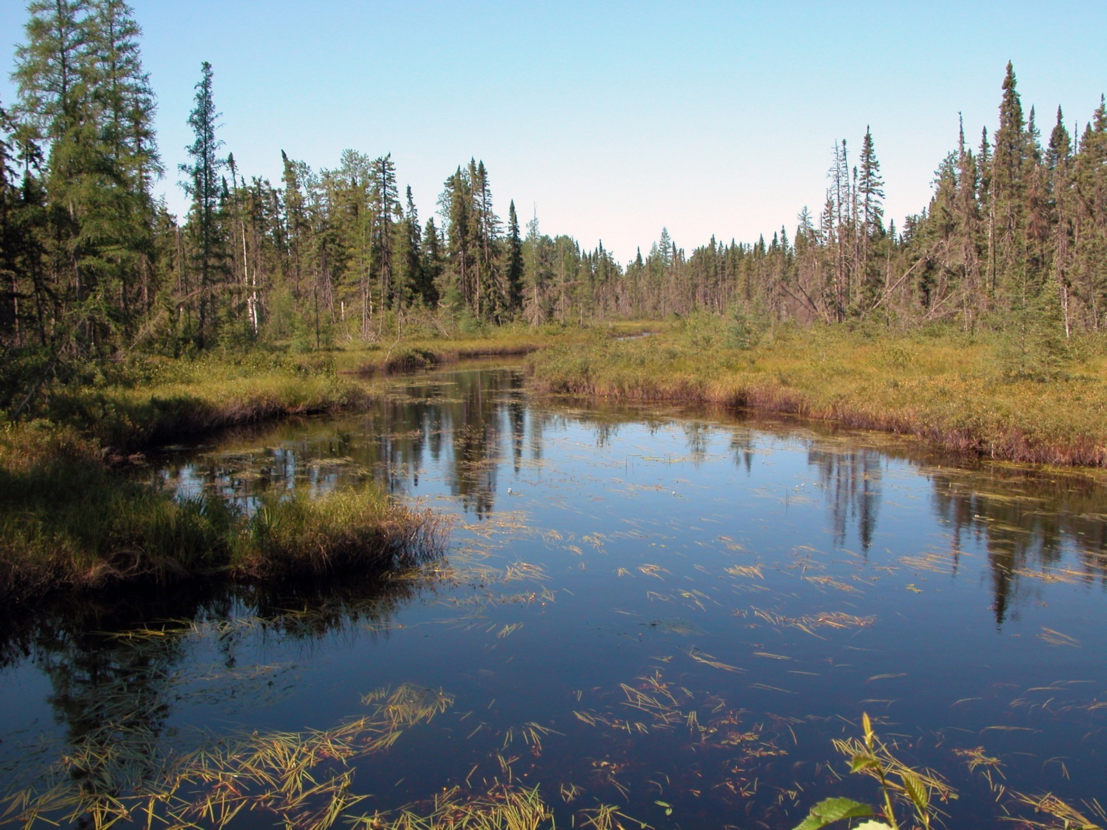 https://mdw-travel-data-us-east-1.s3.amazonaws.com/img/country/Canada/Whiteshell-Provincial-Park/img_01.jpg
