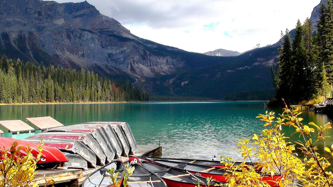 https://mdw-travel-data-us-east-1.s3.amazonaws.com/img/country/Canada/Wood-Buffalo-National-Park/img_02.jpg