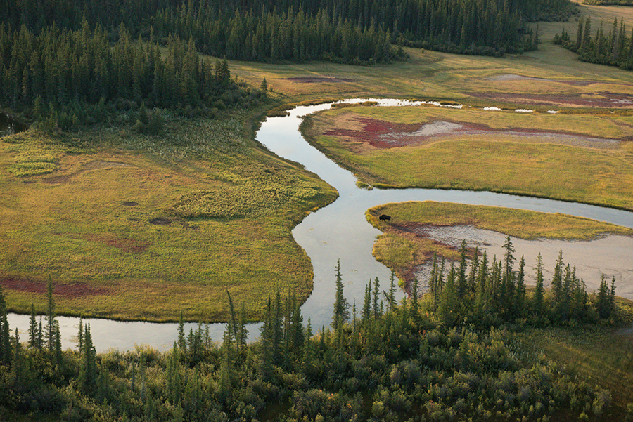 https://mdw-travel-data-us-east-1.s3.amazonaws.com/img/country/Canada/Wood-Buffalo-National-Park/img_03.jpg