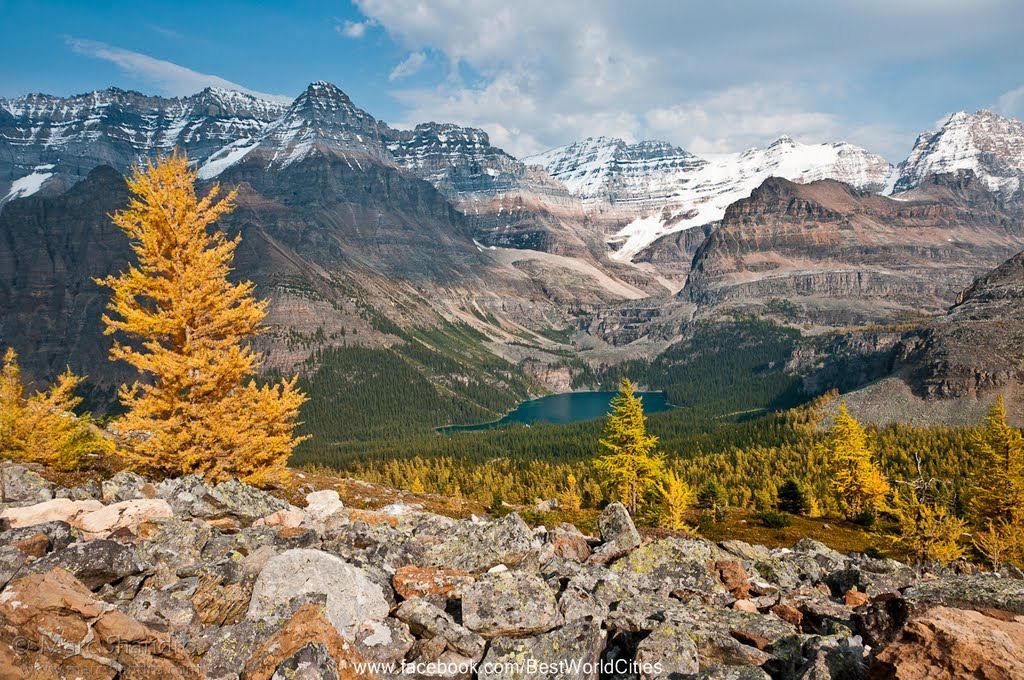 https://mdw-travel-data-us-east-1.s3.amazonaws.com/img/country/Canada/Yoho-National-Park/img_02.jpg