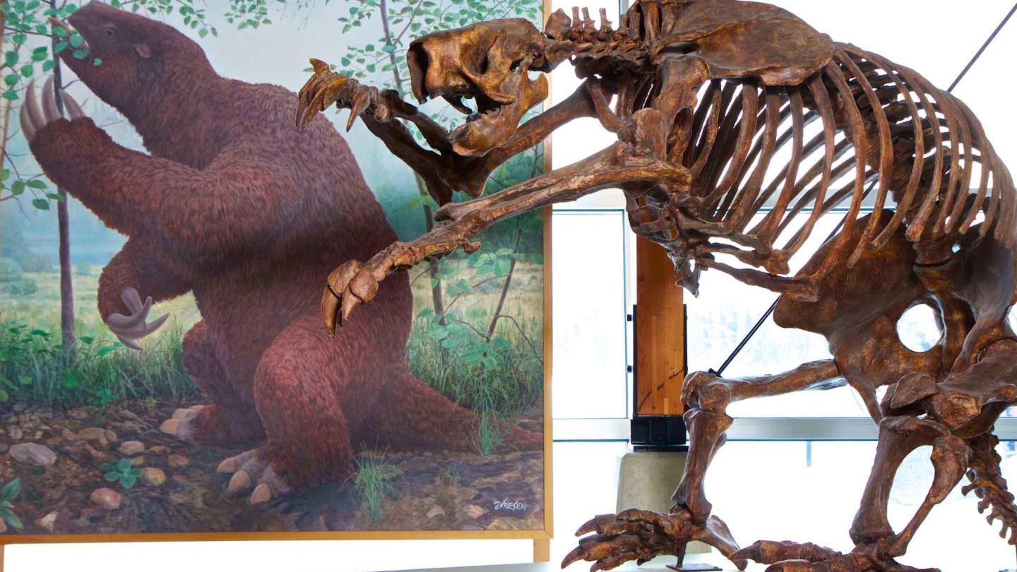 https://mdw-travel-data-us-east-1.s3.amazonaws.com/img/country/Canada/Yukon-Beringia-Interpretive-Centre/img_03.jpg