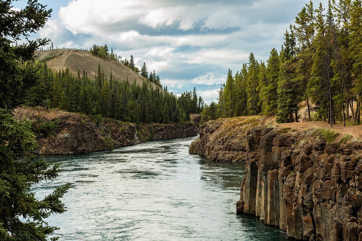 https://mdw-travel-data-us-east-1.s3.amazonaws.com/img/country/Canada/Yukon-Brewing/img_01.jpg