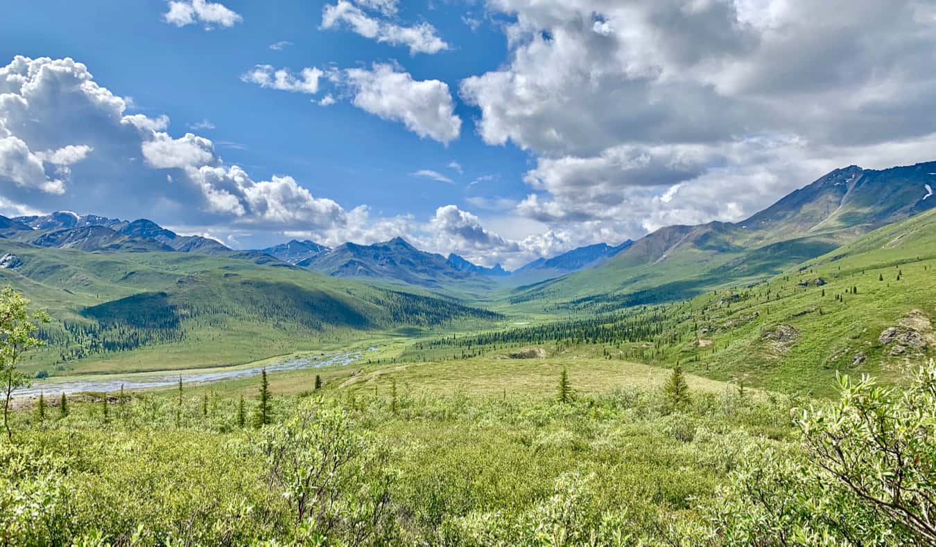 https://mdw-travel-data-us-east-1.s3.amazonaws.com/img/country/Canada/Yukon-Brewing/img_02.jpg