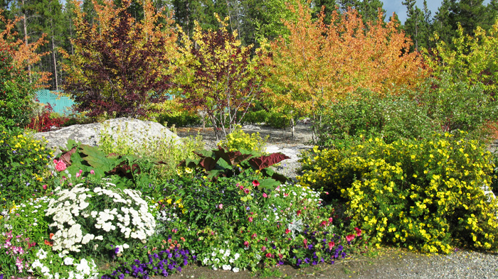 https://mdw-travel-data-us-east-1.s3.amazonaws.com/img/country/Canada/Yukon-Gardens/img_00.jpg
