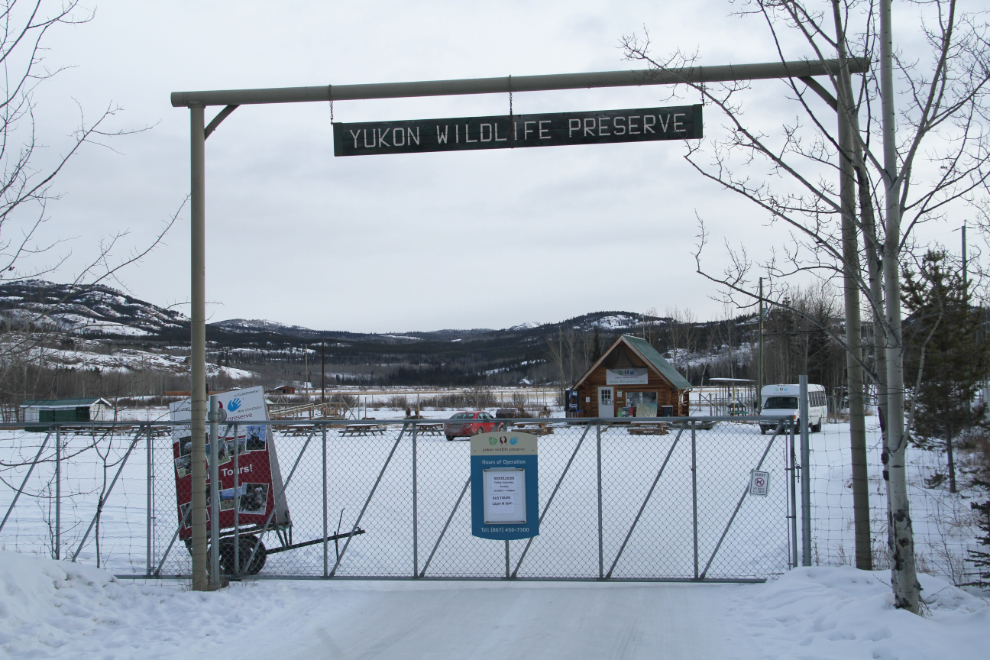 https://mdw-travel-data-us-east-1.s3.amazonaws.com/img/country/Canada/Yukon-Wildlife-Preserve/img_03.jpg