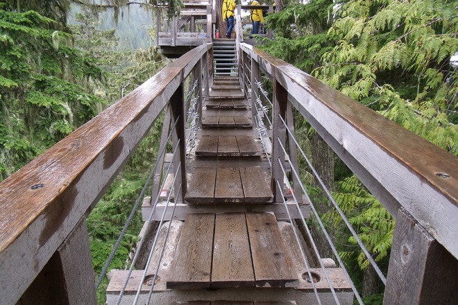 https://mdw-travel-data-us-east-1.s3.amazonaws.com/img/country/Canada/Ziptrek-Ecotours/img_01.jpg