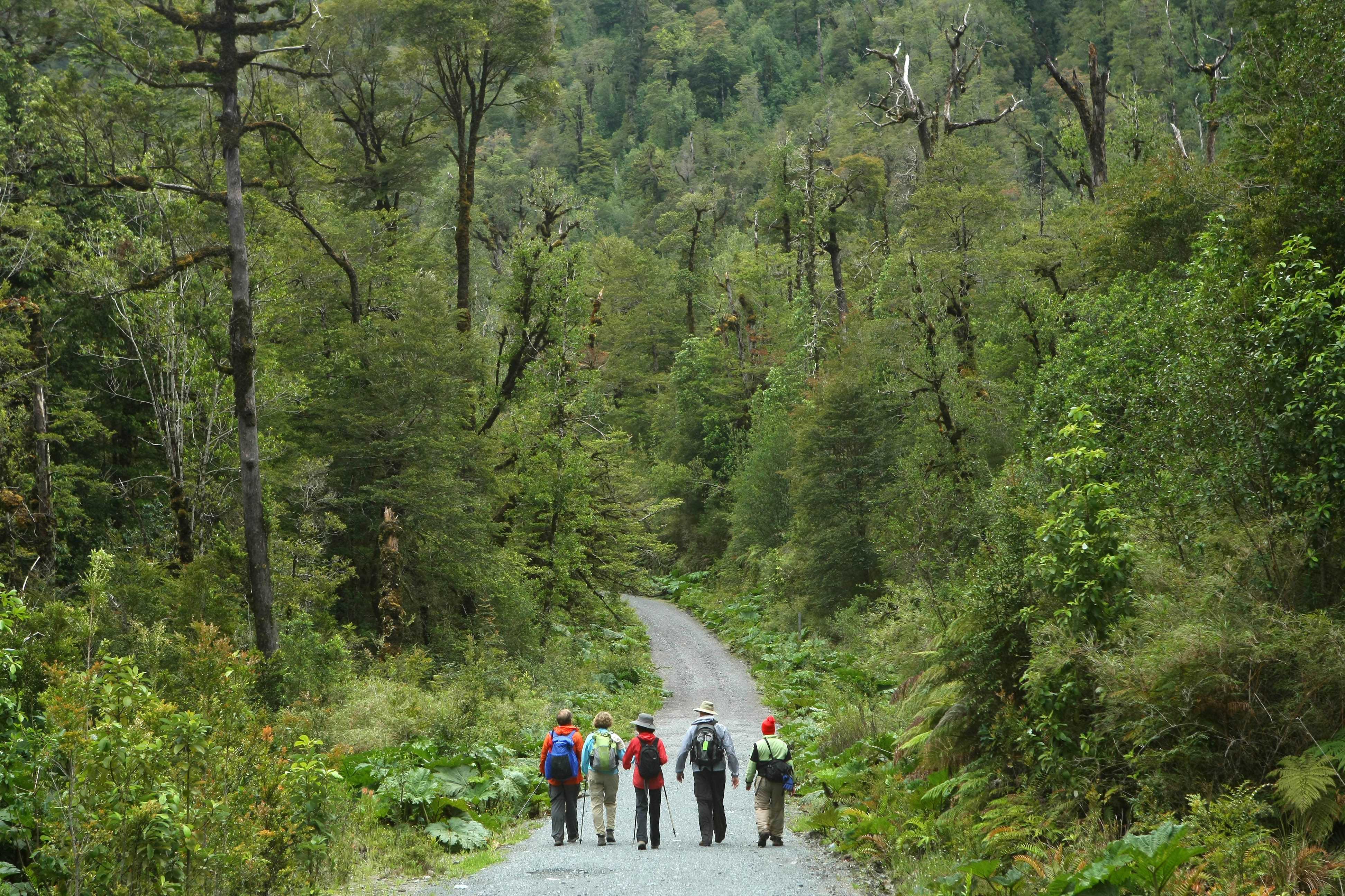 https://mdw-travel-data-us-east-1.s3.amazonaws.com/img/country/Chile/Alerce-Andino-National-Park/img_02.jpg