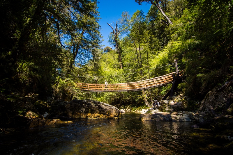 https://mdw-travel-data-us-east-1.s3.amazonaws.com/img/country/Chile/Alerce-Costero-National-Park/img_01.jpg