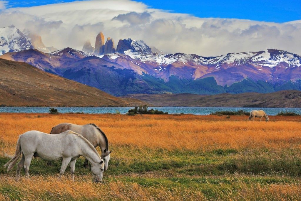 https://mdw-travel-data-us-east-1.s3.amazonaws.com/img/country/Chile/Bernardo-OHiggins-National-Park/img_02.jpg