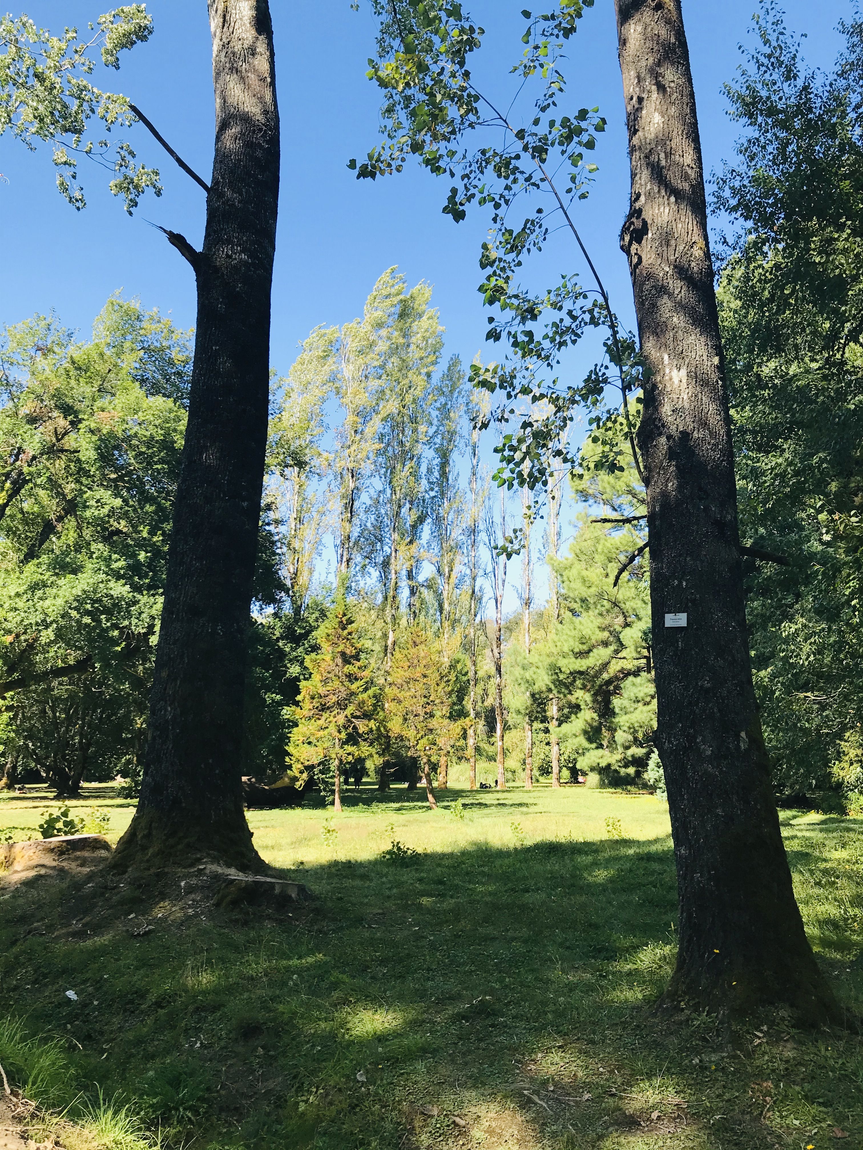 https://mdw-travel-data-us-east-1.s3.amazonaws.com/img/country/Chile/Botanical-Garden-of-Universidad-Austral-de-Chile/img_01.jpg