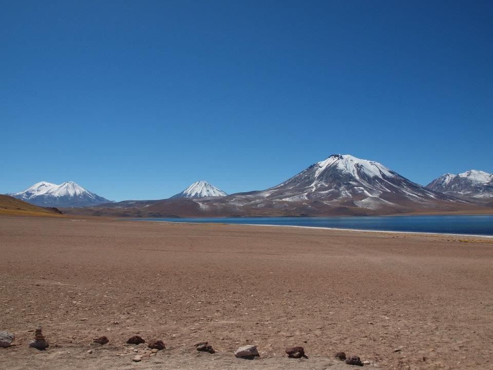 https://mdw-travel-data-us-east-1.s3.amazonaws.com/img/country/Chile/Calama-Cactus-Sanctuary/img_00.jpg
