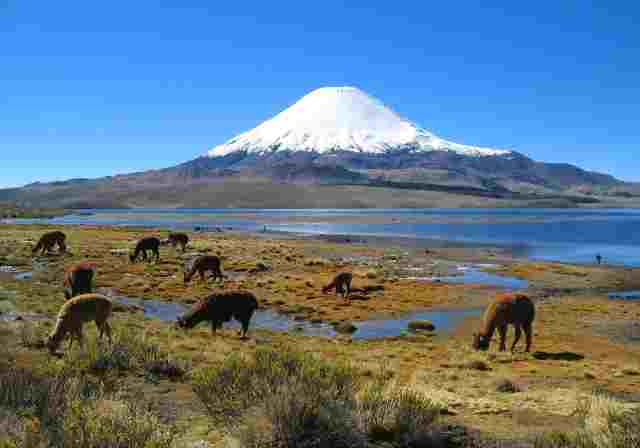 https://mdw-travel-data-us-east-1.s3.amazonaws.com/img/country/Chile/Calcurrupe-Beach/img_03.jpg