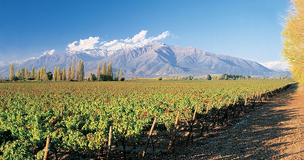 https://mdw-travel-data-us-east-1.s3.amazonaws.com/img/country/Chile/Casablanca-Valley/img_03.jpg