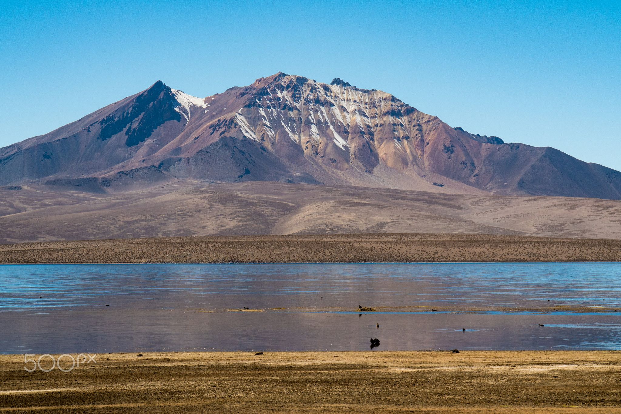 https://mdw-travel-data-us-east-1.s3.amazonaws.com/img/country/Chile/Chungara-Lake/img_03.jpg