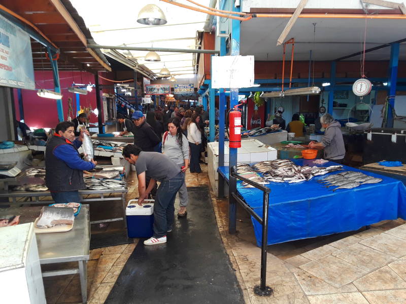 https://mdw-travel-data-us-east-1.s3.amazonaws.com/img/country/Chile/Coquimbo-Fish-Market/img_03.jpg
