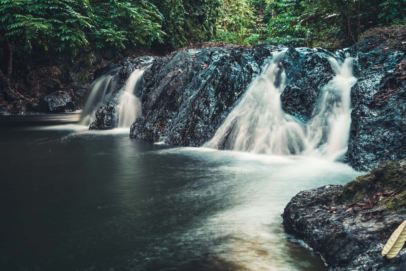 https://mdw-travel-data-us-east-1.s3.amazonaws.com/img/country/Chile/Corcovado-National-Park/img_01.jpg