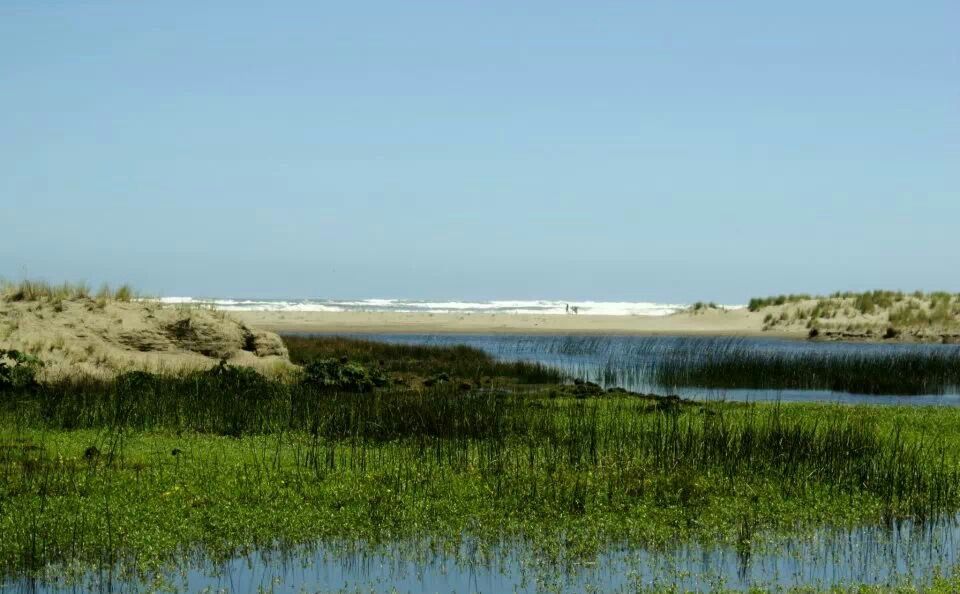 https://mdw-travel-data-us-east-1.s3.amazonaws.com/img/country/Chile/Cucao-Beach/img_03.jpg