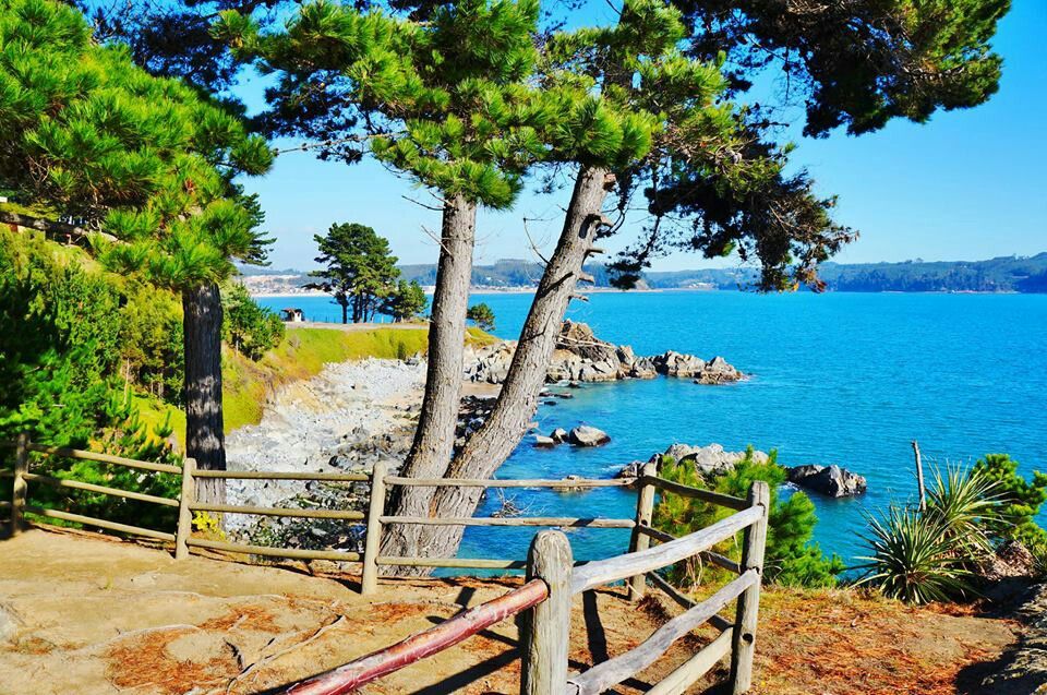 https://mdw-travel-data-us-east-1.s3.amazonaws.com/img/country/Chile/El-Pinguinera/img_02.jpg