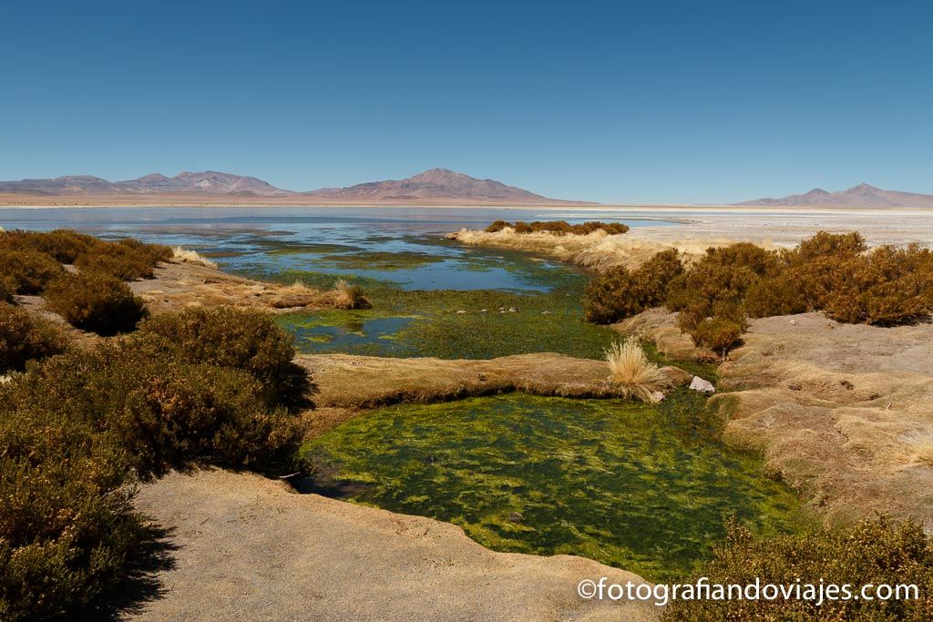 https://mdw-travel-data-us-east-1.s3.amazonaws.com/img/country/Chile/El-Salar-de-Tara/img_01.jpg