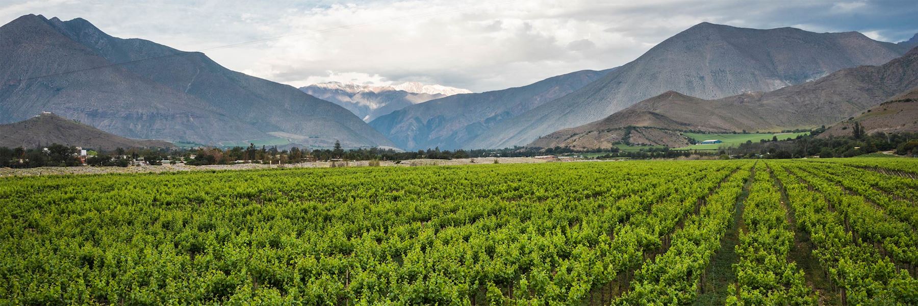 https://mdw-travel-data-us-east-1.s3.amazonaws.com/img/country/Chile/Elqui-Valley/img_01.jpg