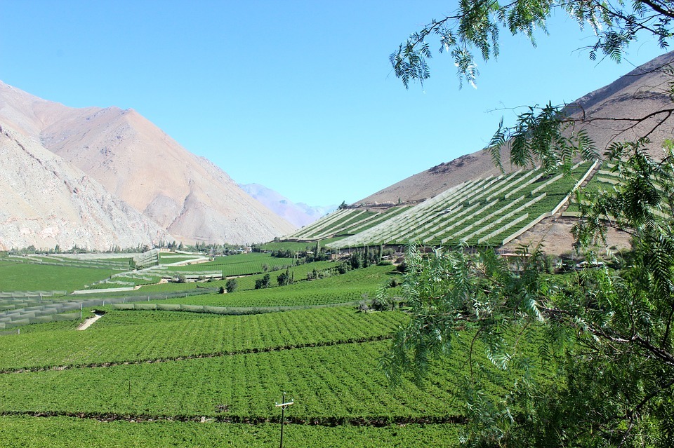 https://mdw-travel-data-us-east-1.s3.amazonaws.com/img/country/Chile/Elqui-Valley/img_03.jpg