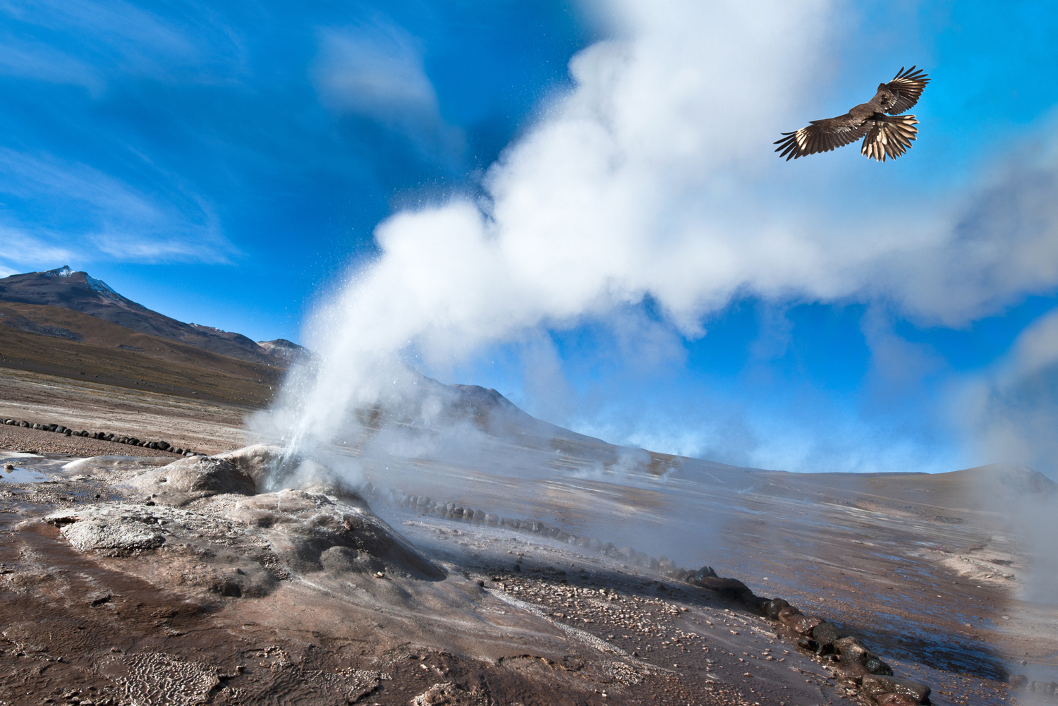 https://mdw-travel-data-us-east-1.s3.amazonaws.com/img/country/Chile/Geysers-El-Tatio/img_03.jpg