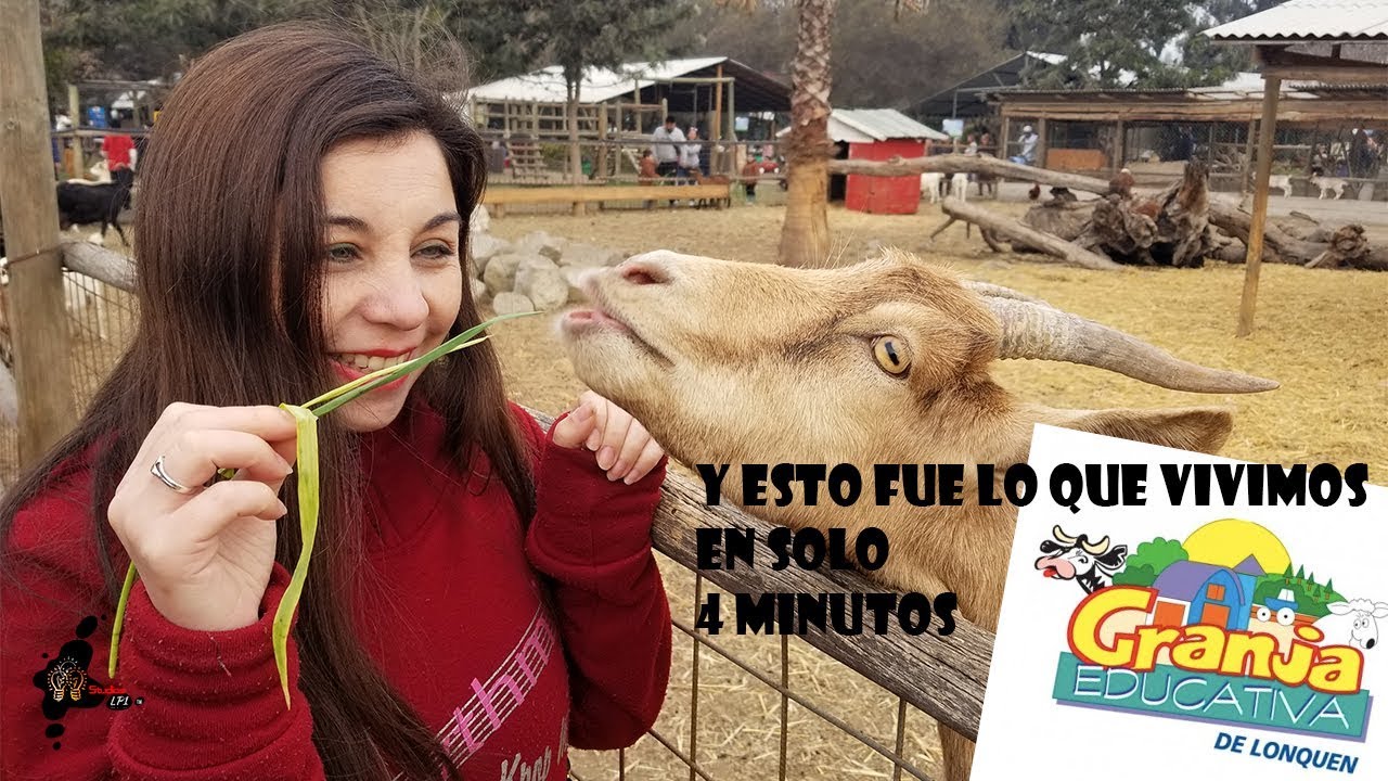 https://mdw-travel-data-us-east-1.s3.amazonaws.com/img/country/Chile/Granja-Educativa-La-Madriguera/img_01.jpg