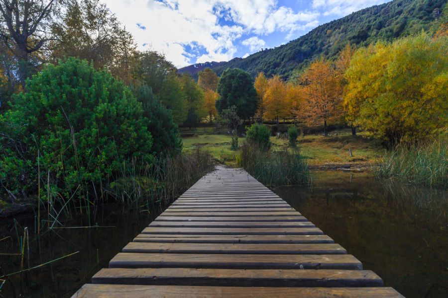 https://mdw-travel-data-us-east-1.s3.amazonaws.com/img/country/Chile/Huerquehue-National-Park/img_01.jpg