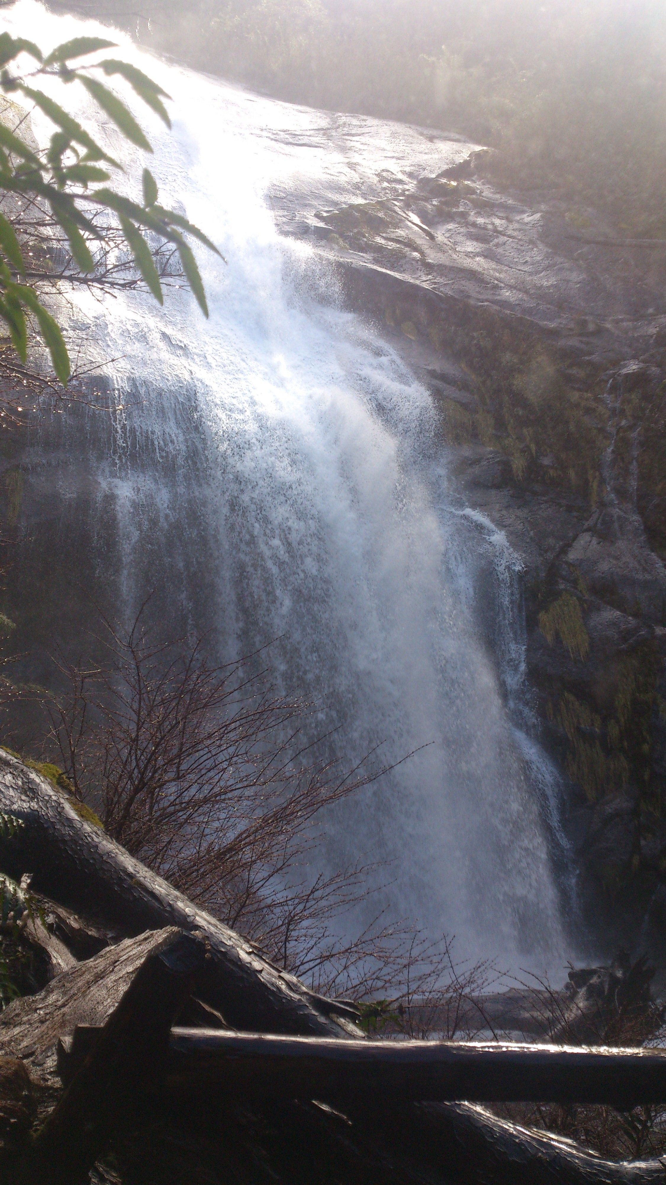 https://mdw-travel-data-us-east-1.s3.amazonaws.com/img/country/Chile/Huerquehue-National-Park/img_03.jpg