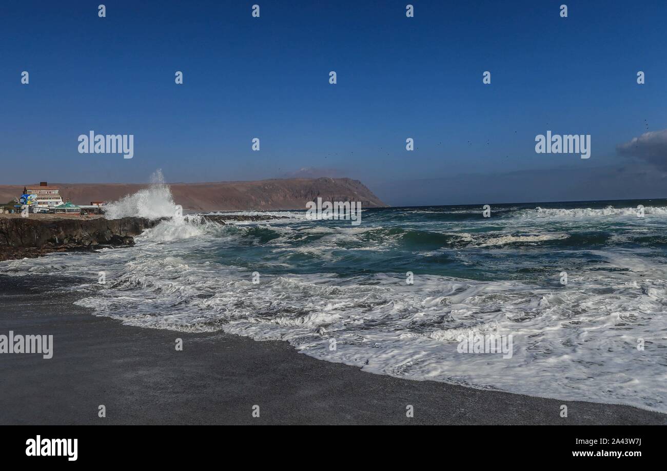 https://mdw-travel-data-us-east-1.s3.amazonaws.com/img/country/Chile/Humane-Society-of-Arica/img_02.jpg