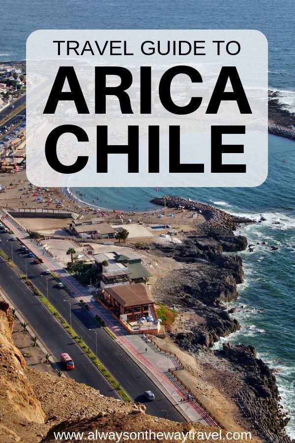 https://mdw-travel-data-us-east-1.s3.amazonaws.com/img/country/Chile/Humane-Society-of-Arica/img_03.jpg