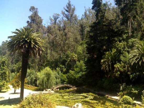 https://mdw-travel-data-us-east-1.s3.amazonaws.com/img/country/Chile/Jardin-Botanico-Nacional/img_00.jpg