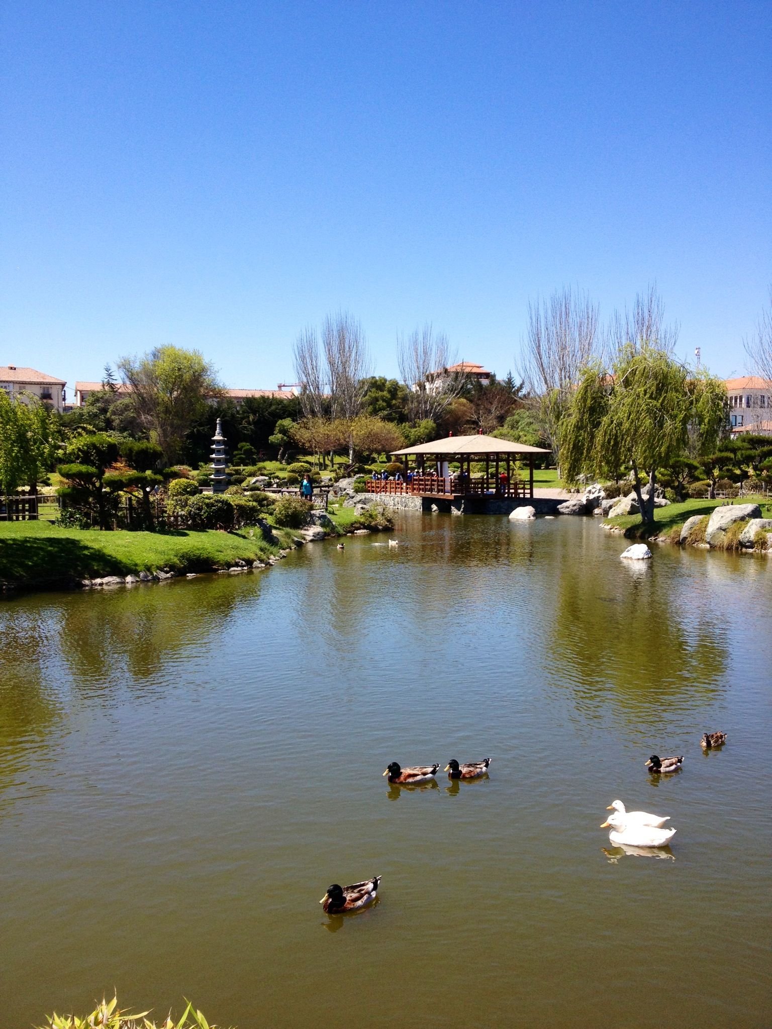 https://mdw-travel-data-us-east-1.s3.amazonaws.com/img/country/Chile/Jardin-del-Corazon/img_01.jpg