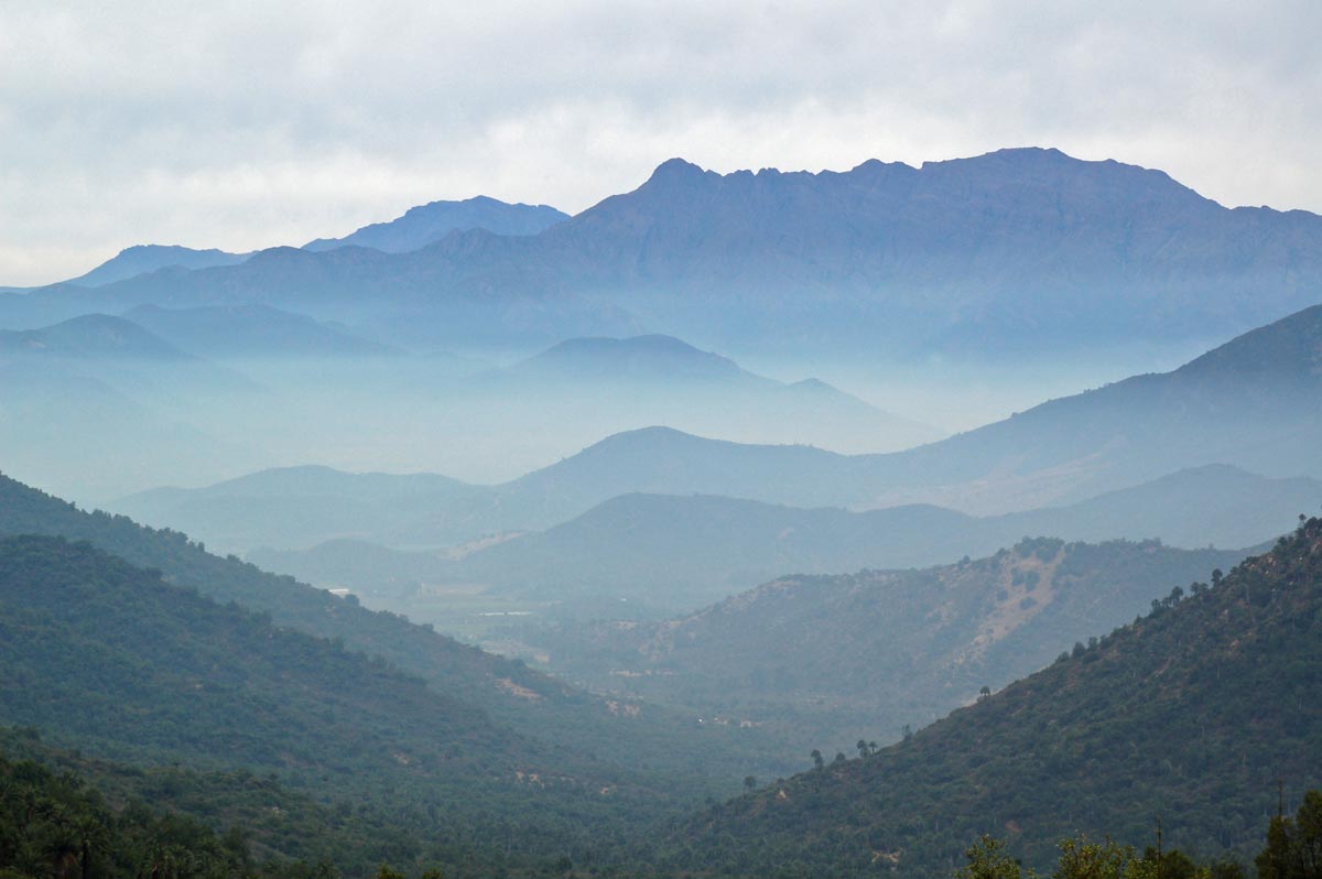 https://mdw-travel-data-us-east-1.s3.amazonaws.com/img/country/Chile/La-Campana-National-Park/img_00.jpg