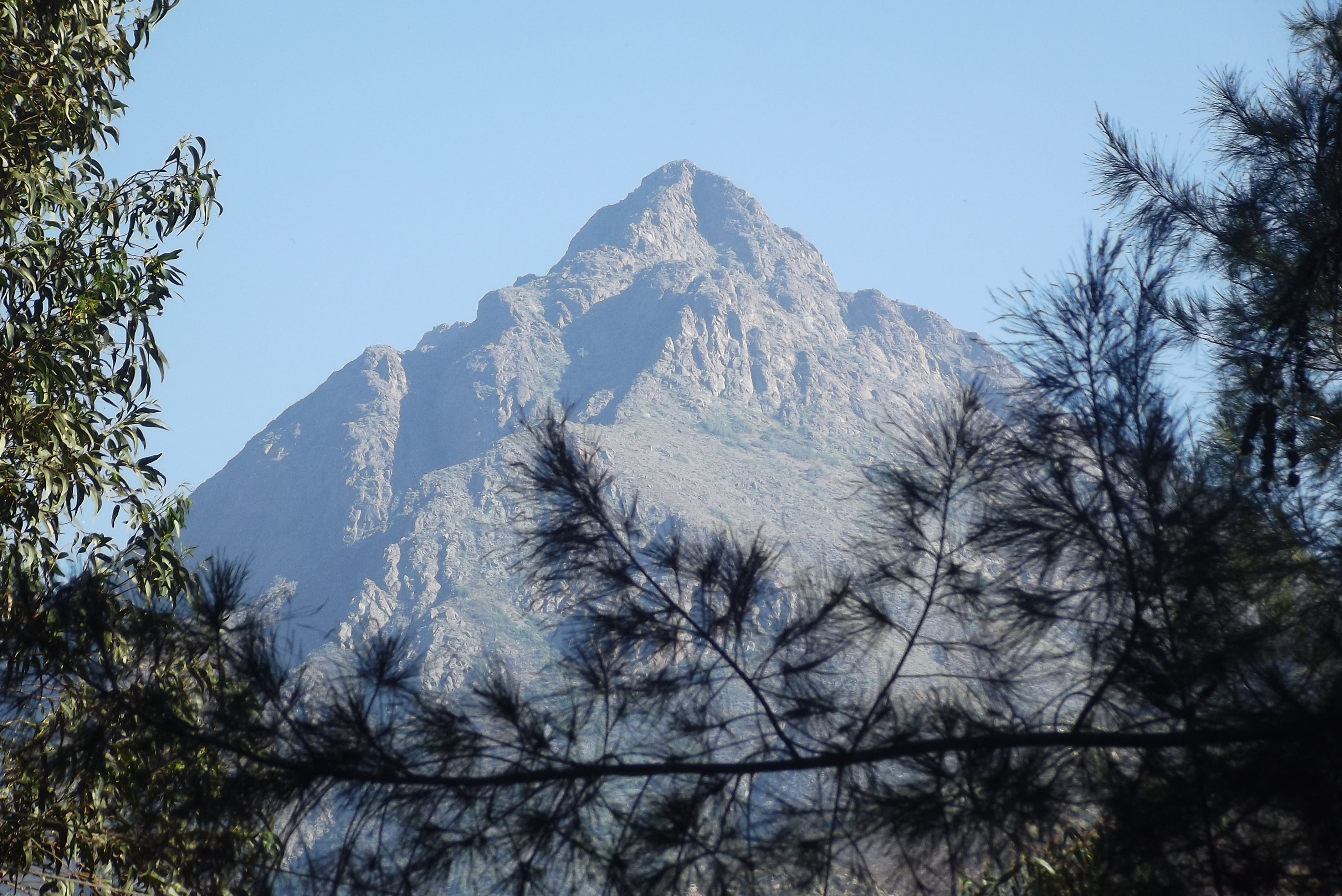 https://mdw-travel-data-us-east-1.s3.amazonaws.com/img/country/Chile/La-Campana-National-Park/img_01.jpg