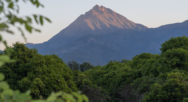 https://mdw-travel-data-us-east-1.s3.amazonaws.com/img/country/Chile/La-Campana-National-Park/img_02.jpg