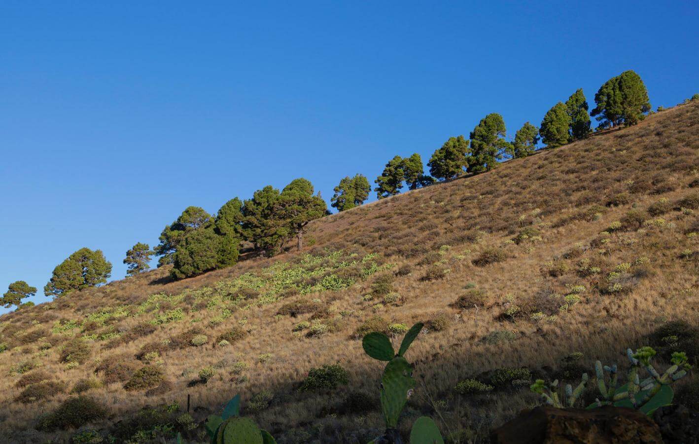 https://mdw-travel-data-us-east-1.s3.amazonaws.com/img/country/Chile/La-Frontera-Trail/img_02.jpg