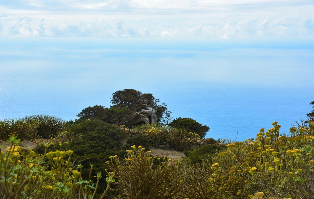 https://mdw-travel-data-us-east-1.s3.amazonaws.com/img/country/Chile/La-Frontera-Trail/img_03.jpg