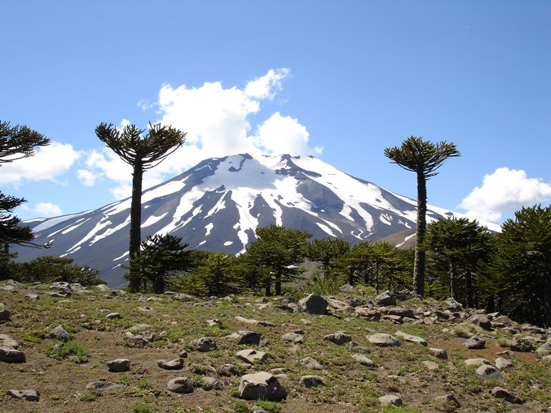 https://mdw-travel-data-us-east-1.s3.amazonaws.com/img/country/Chile/Lonquimay-Volcano/img_01.jpg